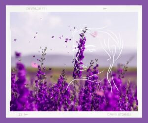 El camino de lavanda