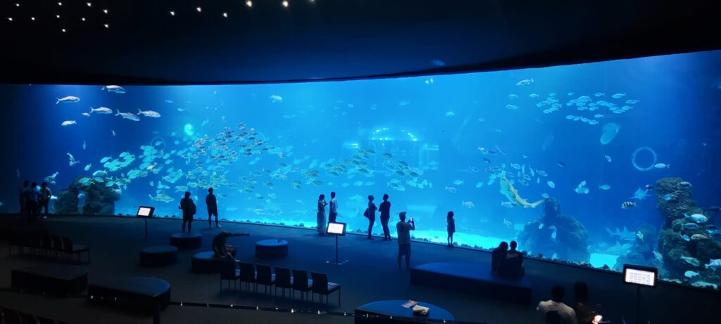What do have an aquarium and a symphonic orchestra in common? Poema del mar